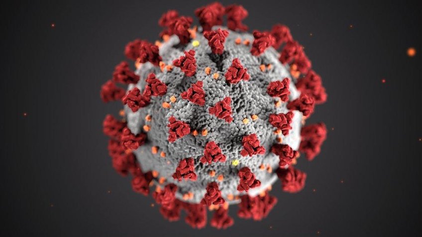 Auf diesem Bild sieht man eine schematische Darstellung eines Corona-Virus vor schwarzem Hintergrund. Die Spikes sind rot darstellt.