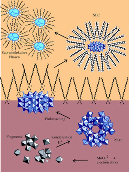 Von Molekularen Modulen Zu Modularen Funktionsmaterialien Max Planck Institut Für Kolloid Und