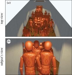 The reserachers could watch in a top-down view the 36 participants passing through a bottleneck during a simple evacuation situation. Each pedestrian was controlled by a real experimental participant who viewed the situation in a realstic way from the middle of a crowd.