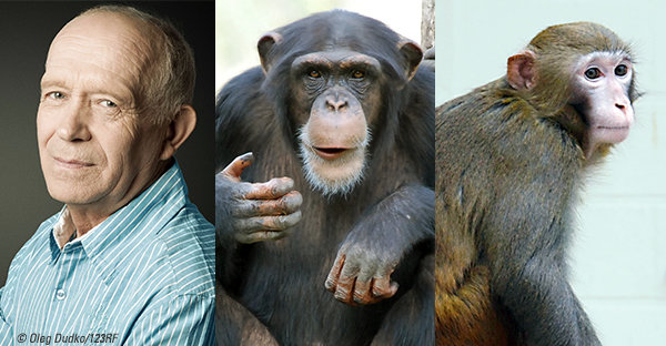 Primates | Max-Planck-Gesellschaft