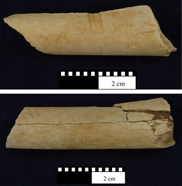 Oldest evidence of human stone tool use and meat-eating found