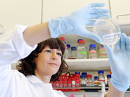 Emmanuelle Charpentier: An artist in gene editing