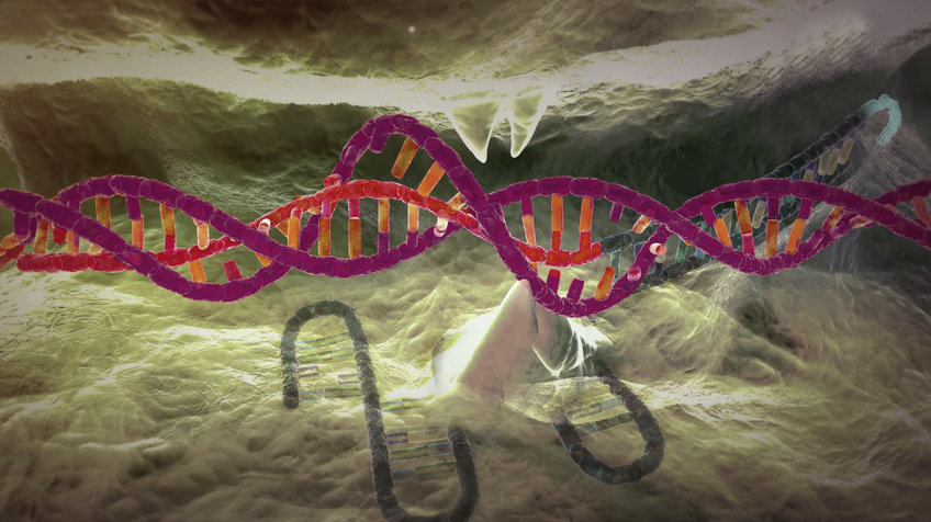CRISPR/Cas9 – molecular scissors made of enzyme and RNA