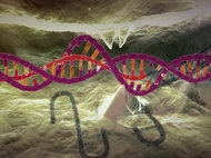 Crispr/Cas9