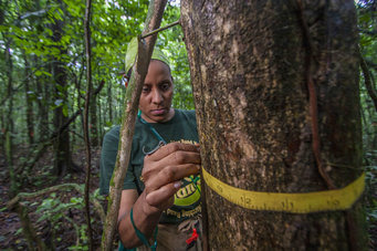 Predicting the Uncertain Future of Tropical Forest Species in a