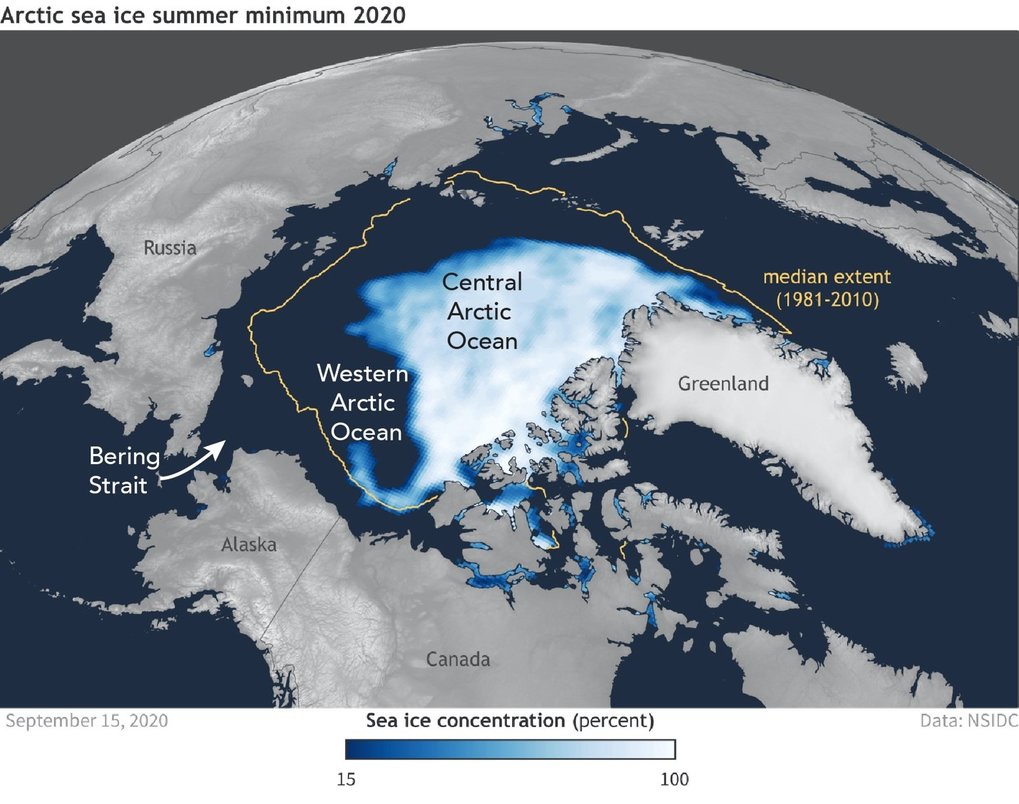 Kein Verstärtes Algenwachstum In Einem Eisfreien Arktischen Ozeann ...