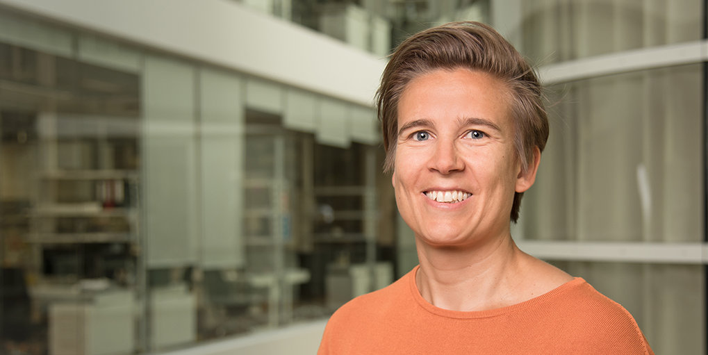 Prof. Dr. Sara A. Wickström