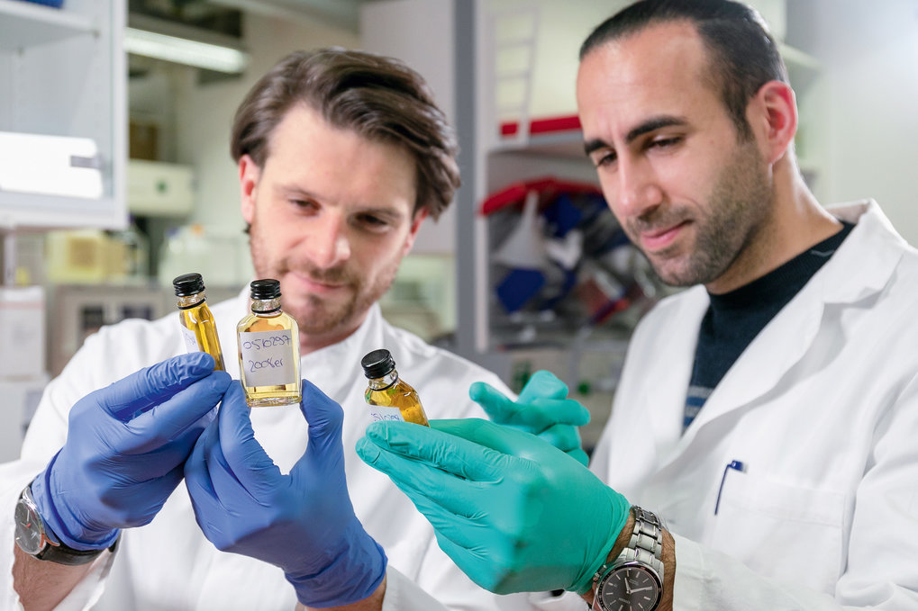 From the distillery to the laboratory: Daniil Pokrovsky (left) and Hamid Hamzeiy (right) receive the whisky samples from a large German whisky producer. 