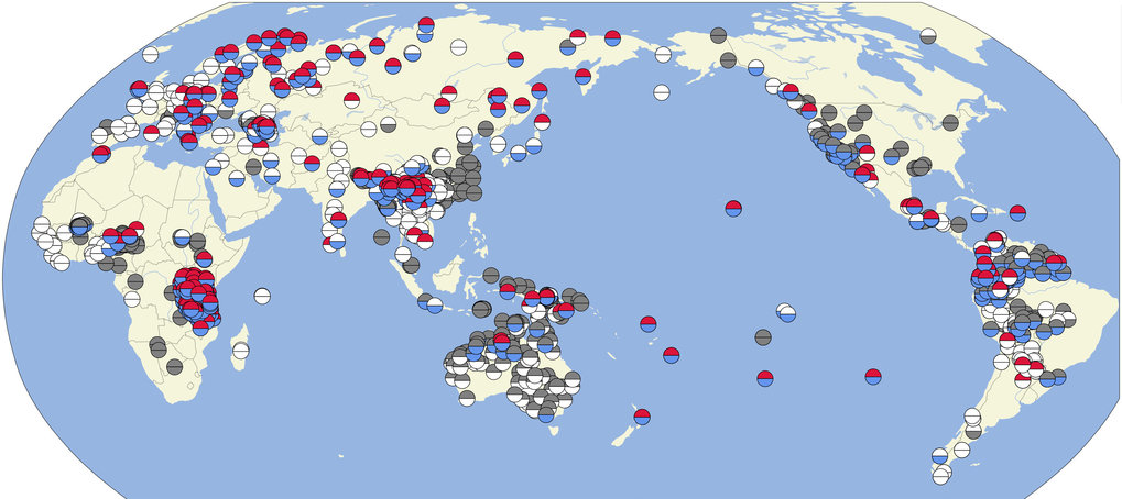 Many languages which use the same word for 