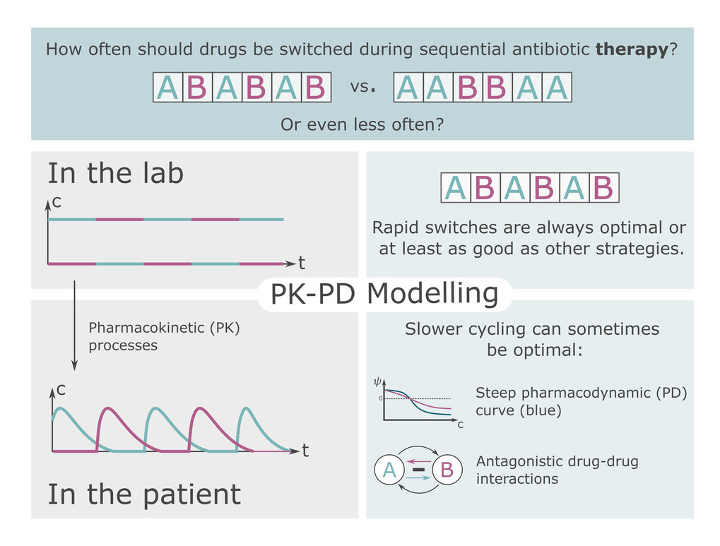 Sequential antibiotic therapy in the laboratory and in patients