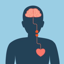 Mental and cardiovascular health are interrelated.