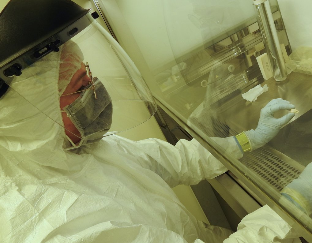 Lead author Elena Essel working in the clean laboratory on the pierced deer tooth discovered from Denisova Cave.