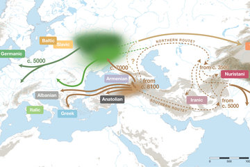 New insights into the origin of the Indo-European languages