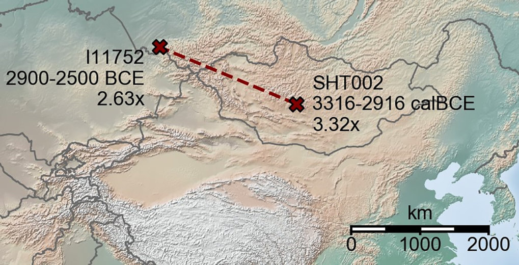 When screening ancient Eurasian individuals for IBD segments, the researchers detected a pair of biological relatives whose remains were buried 1,410 kilometers apart, one in central Mongolia and one in southern Russia.