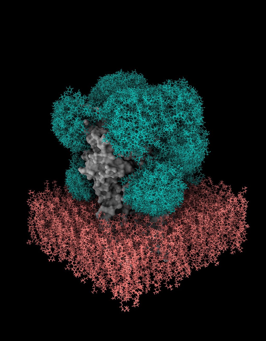 MPI Of Biophysics | Max-Planck-Gesellschaft