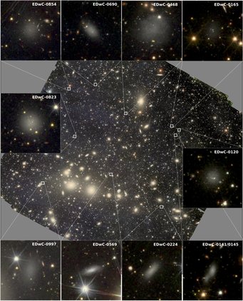 Collage with photos of dwarf galaxies in the middle of a galaxy cluster