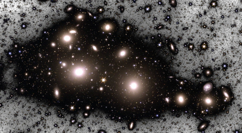 A multitude of white-yellowish roundish spots with halos sitting in a larger black spot against a grey background