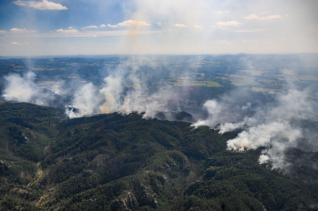 Facts about wildfires