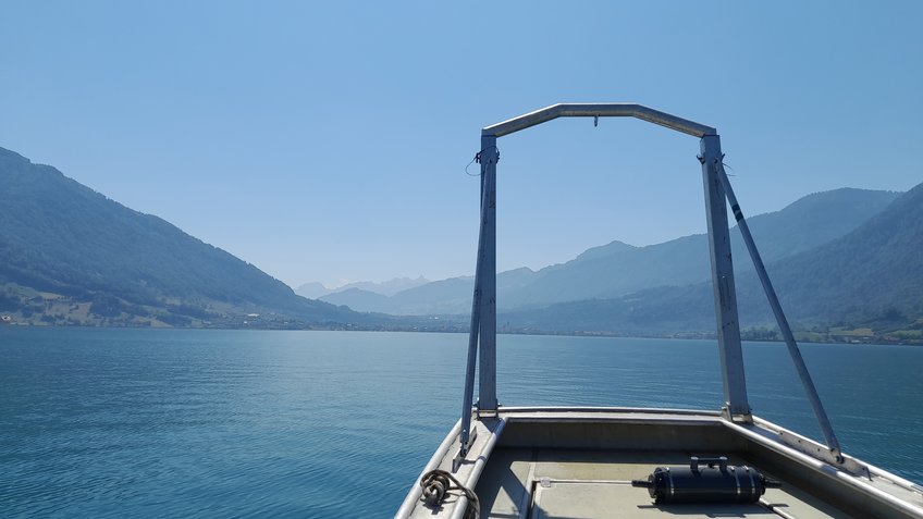 Sampling in front of the mountain panorama of Lake Zug. 