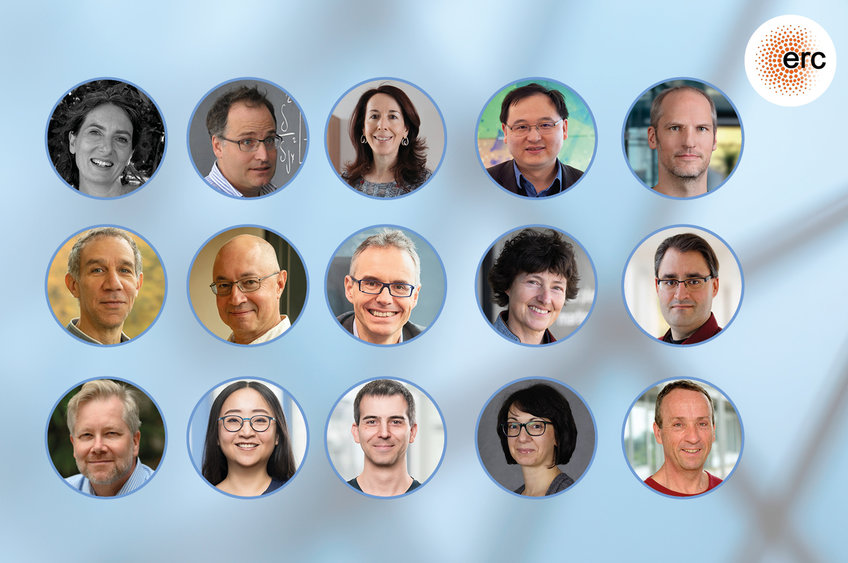 The Max Planck Synergy Grantees 2024 (from top left to bottom right): Benedetta Ciardi, Max Planck Institute for Astrophysics; Torsten Enßlin, Max Planck Institute for Astrophysics; Alessandra Buonanno, Max Planck Institute for Gravitational Physics; Xinliang Feng, Max Planck Institute for Microstructure Physics; Axel Kleinschmidt, Max Planck Institute for Gravitational Physics; Joël Ouaknine, Max Planck Institute for Software Systems; Florian Luca, Max Planck Institute for Software Systems; Angel Rubio, Max Planck Institute for the Structure and Dynamics of Matter; Petra Schwille, Max Planck Institute of Biochemistry; Alexander Herbig, Max Planck Institute for Evolutionary Anthropology; Herwig Baier, Max Planck Institute for Biological Intelligence; Jennifer Li and Drew Robson, Max Planck Institute for Biological Cybernetics; Aneta Koseska, Max Planck Institute for Neurobiology of Behavior - CAESAR; Alec Wodtke, Max Planck Institute for Multidisciplinary Sciences.
