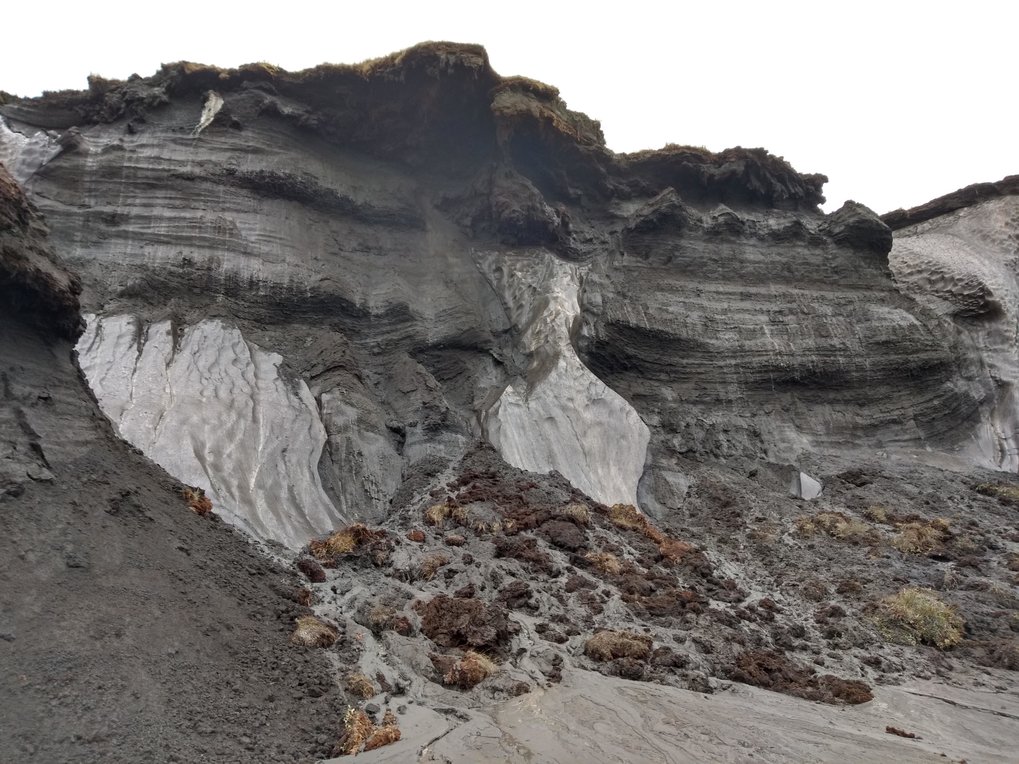 On a steep slope on a coast, the ice is clearly visible in deep layers of soil.