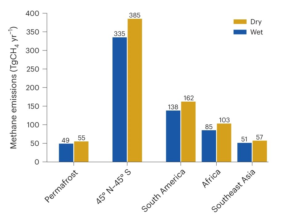 Bar diagram showing annual mean methane emissions in two colors, referring to a dry and a wet scenario, and for different regions on Earth.