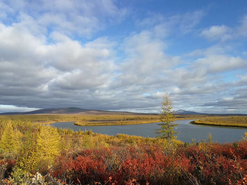 Landscape shot from the Arctic tundra, showing a river meandering through a wide, flat plain. Bushes and individual trees are visible in red and yellow in the foreground. The background shows grassy plains and rolling hills under a sky with partly dense and partly scattered clouds.