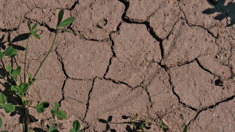 Dürre und Starkregen gefährden Grundwasser