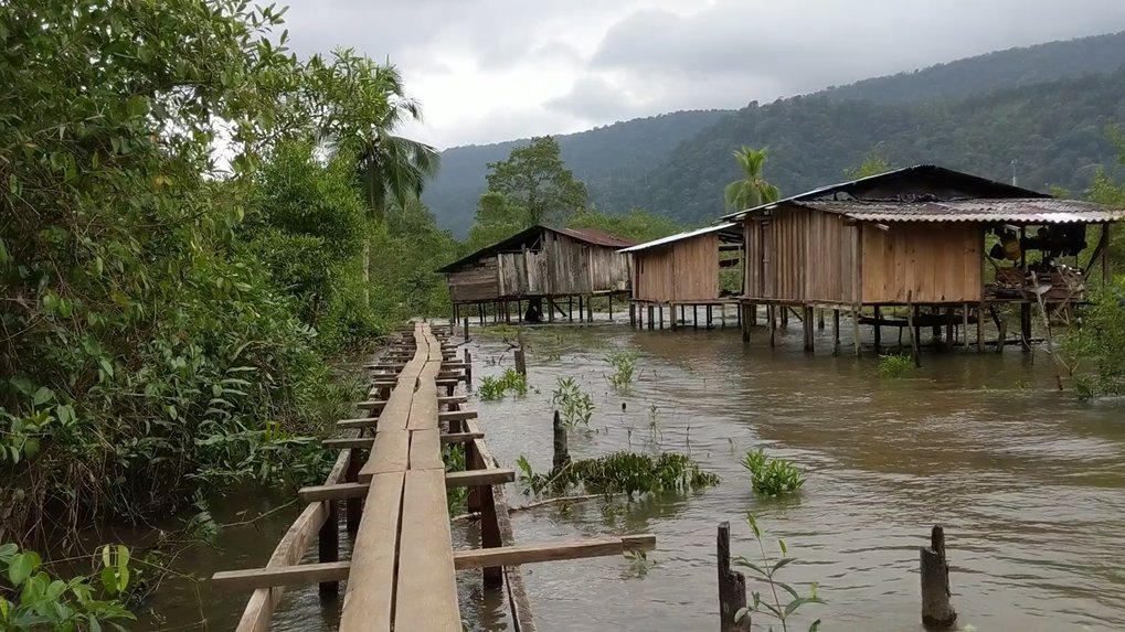 Researchers examined intergroup relationships in two communities in rural Colombia with Afrocolombian and Indigenous Emberá members.