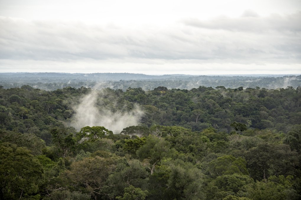 The Amazon rainforest produces moisture through evapotranspiration.