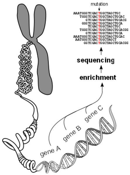 All genes in one go | Max Planck Society