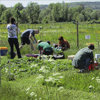 Balance in the Biotope